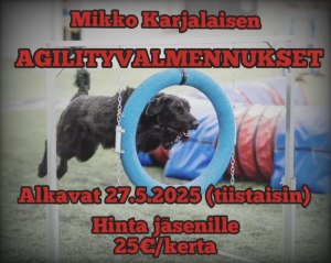 mikkonmainos2025.jpg